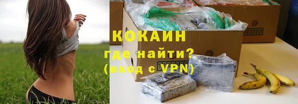 индика Пролетарск