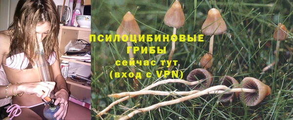 индика Пролетарск