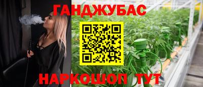 мяу мяу мука Гай