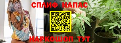 мяу мяу мука Гай