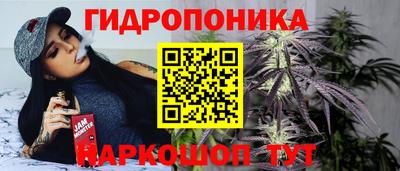 мяу мяу мука Гай