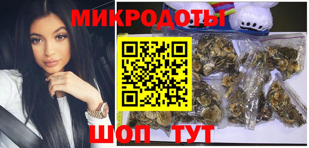 Псилоцибиновые грибы мицелий Гурьевск