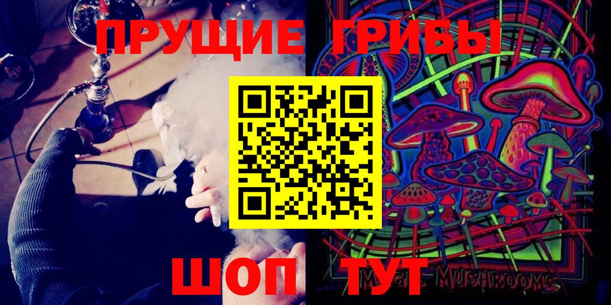 Псилоцибиновые грибы мицелий  Псилоцибиновые грибы Psilocybe  Гурьевск 