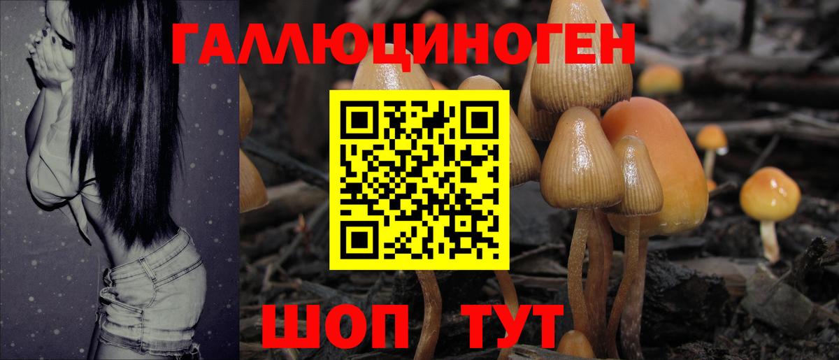 Псилоцибиновые грибы мухоморы  Вход с VPN  Гурьевск 
